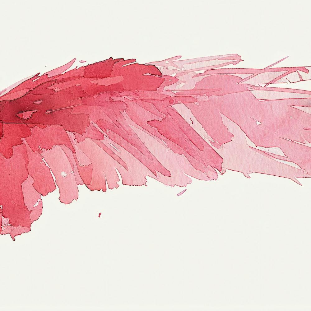 Watercolor Of A Pink Feather