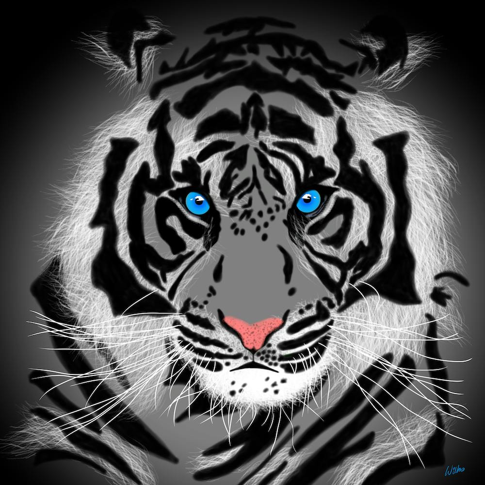 White Tiger With Blue Eyes