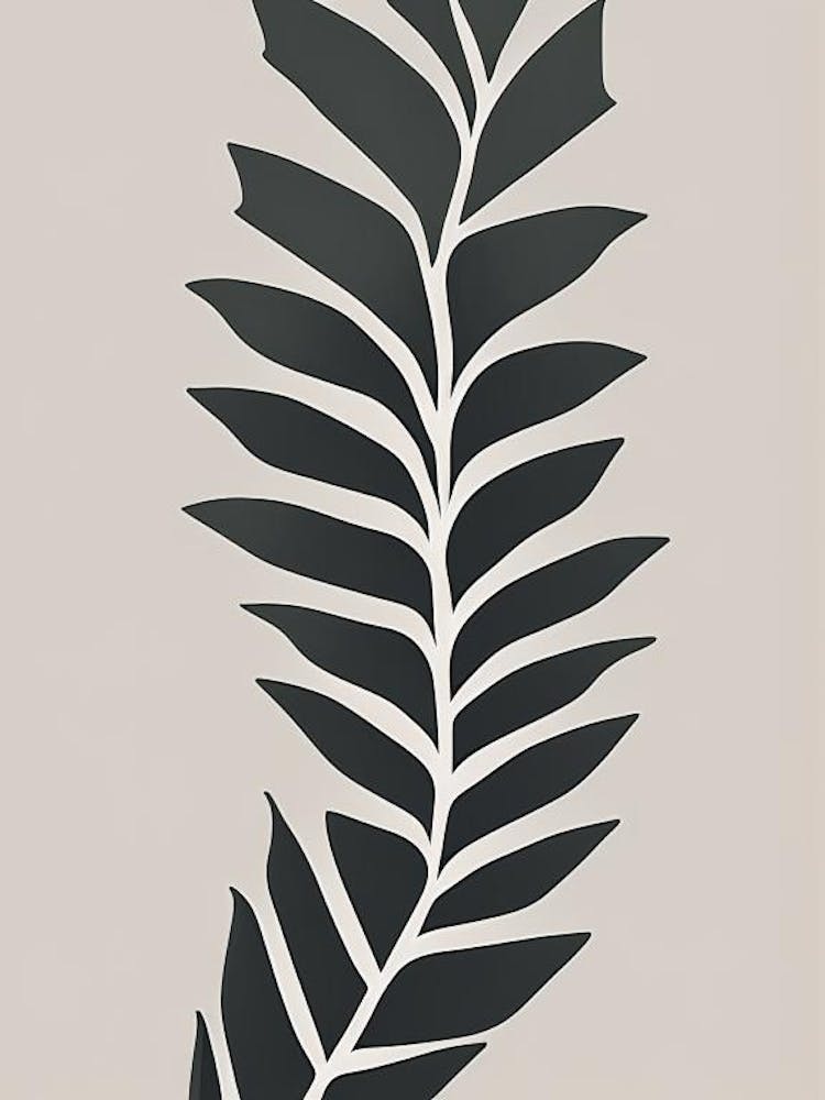 Long Eared Holly Fern Simplicity