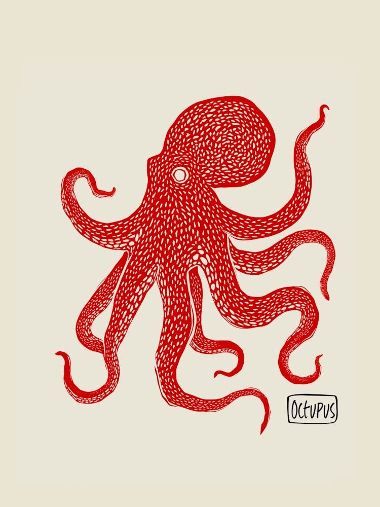 Octopus