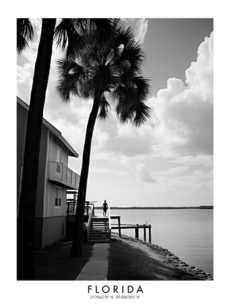 Poster Of Florida, Black And White Analogue Photograph 1