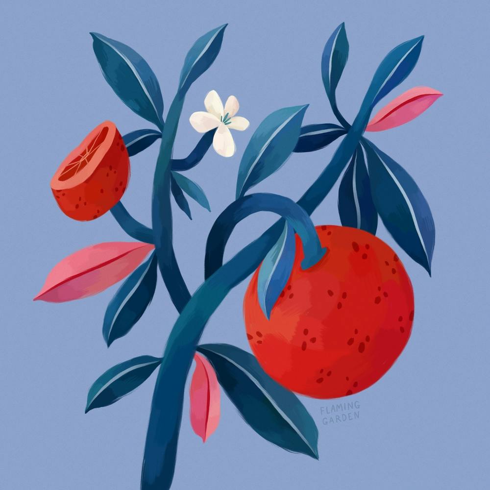 Red Orange On Blue Background