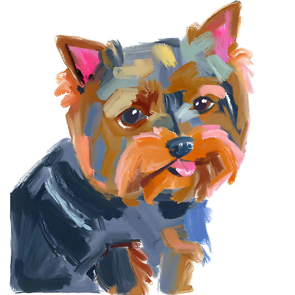 Yorkshire Terrier 03