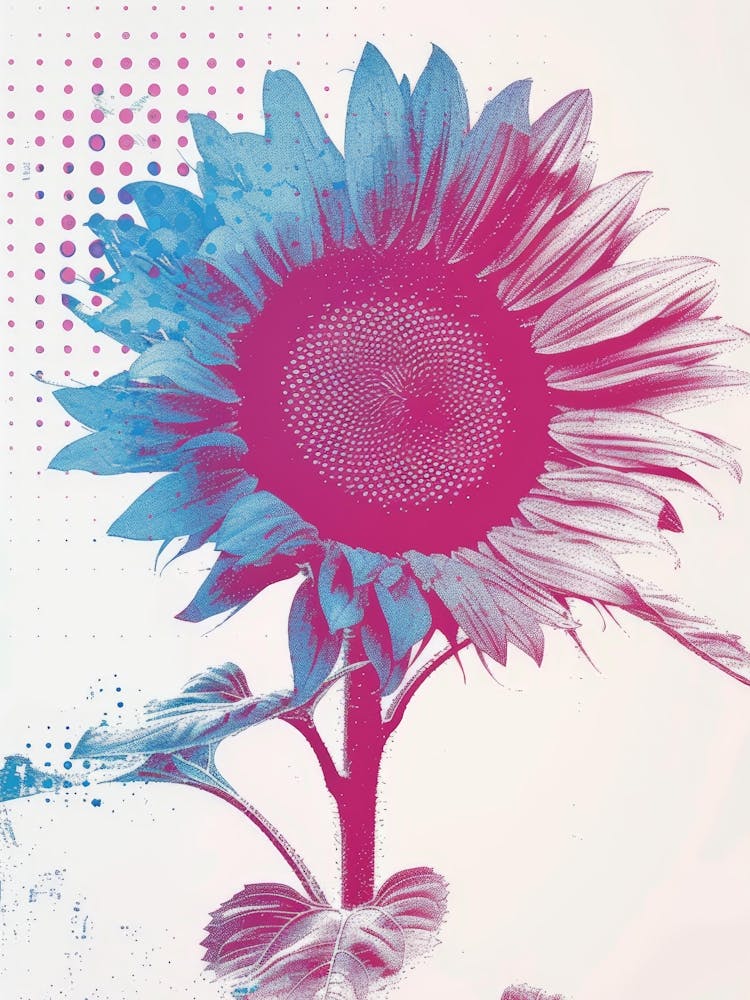 Sunflower 34