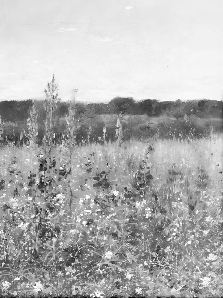 Field Of Wildflowers