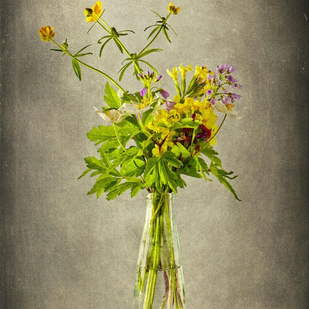 Wildflowers In A Vase