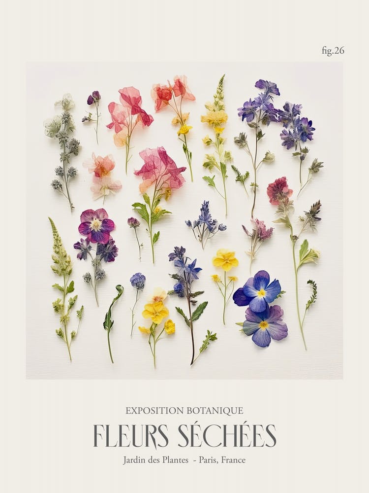 Fleurs Sechees, Getrocknete Blumen Ausstellungsposter 26