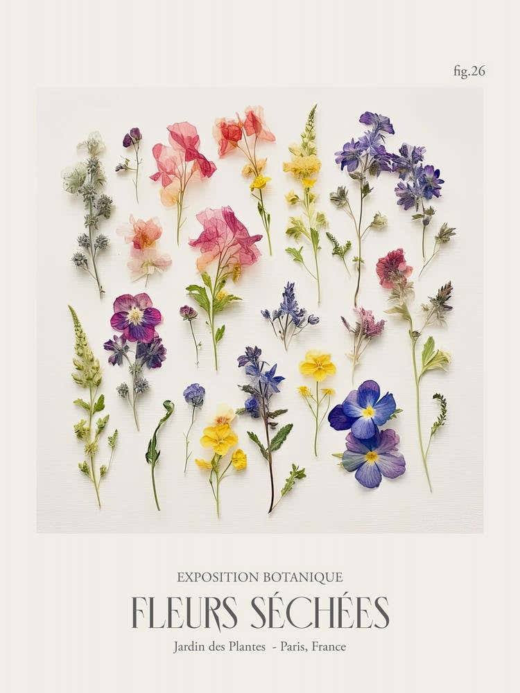 Fleurs Sechees, Dried Flowers Exhibition Poster 26