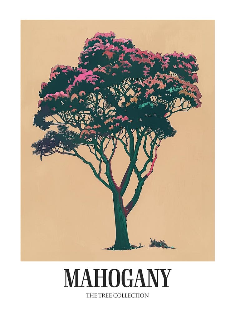 Mahogany Tree Colourful Illustration 1 Poster