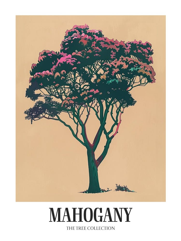 Mahogany Tree Colourful Illustration 1 Poster