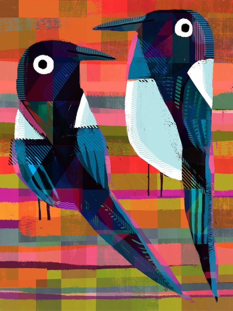 Magpies