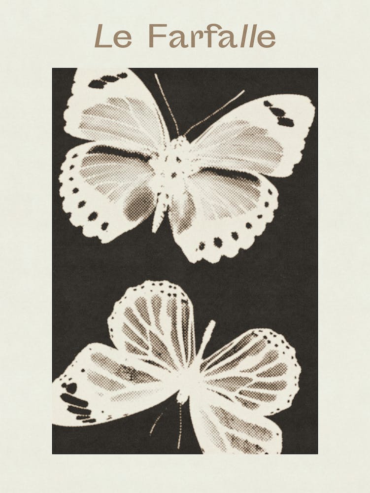 Butterflies, Le Farfalle 1