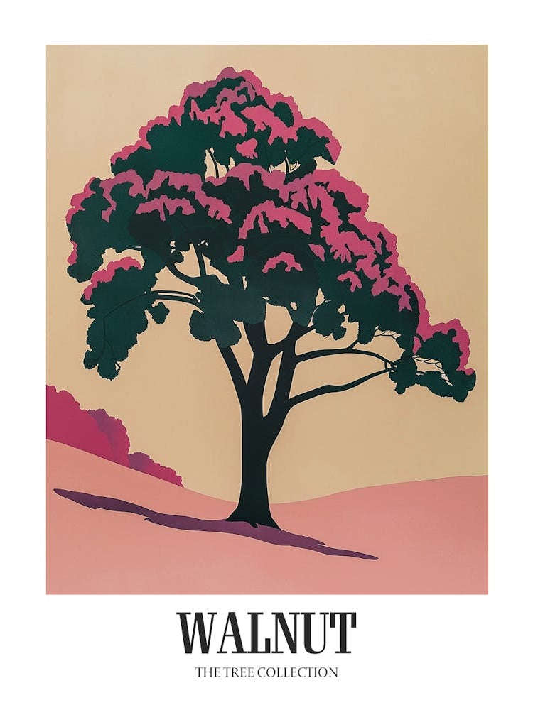 Walnut Tree Colourful Illustration 4 Poster