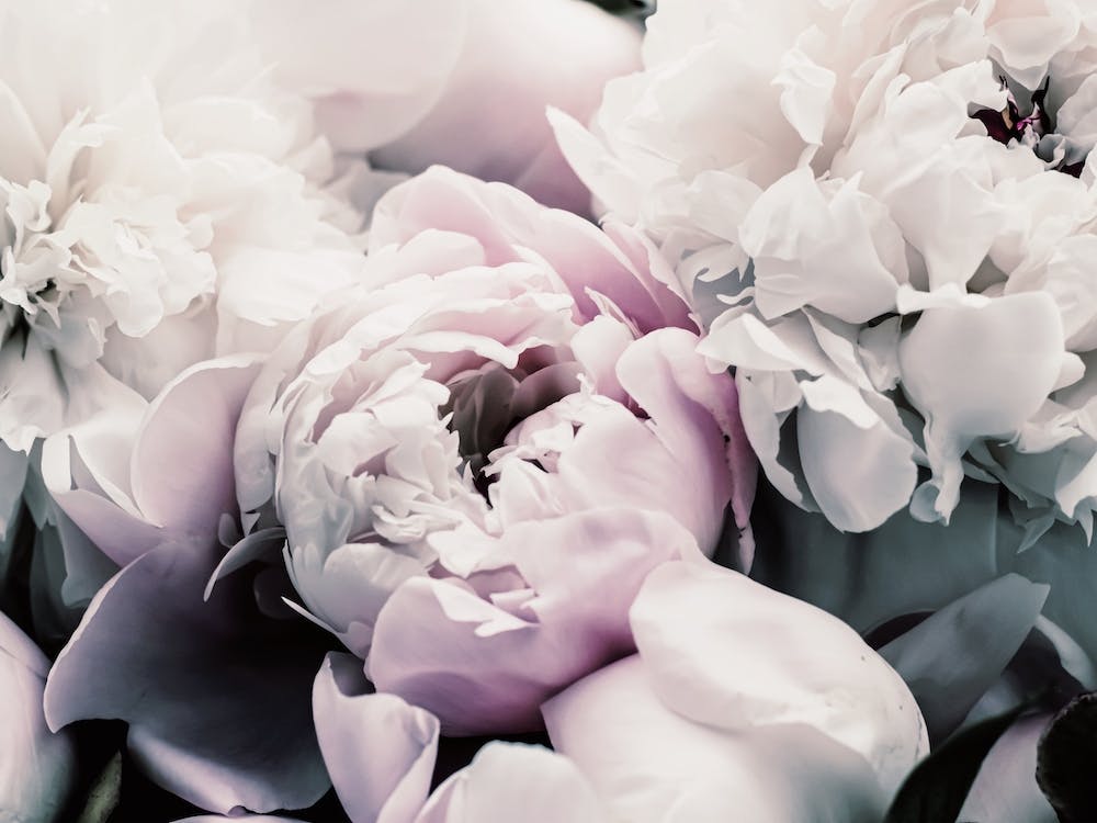Purple Flower Boquet
