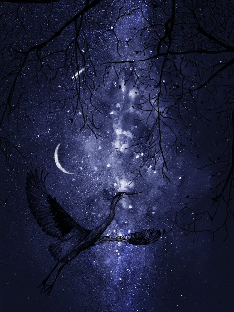 Heron In The Sky - Starry Night and Moon #4