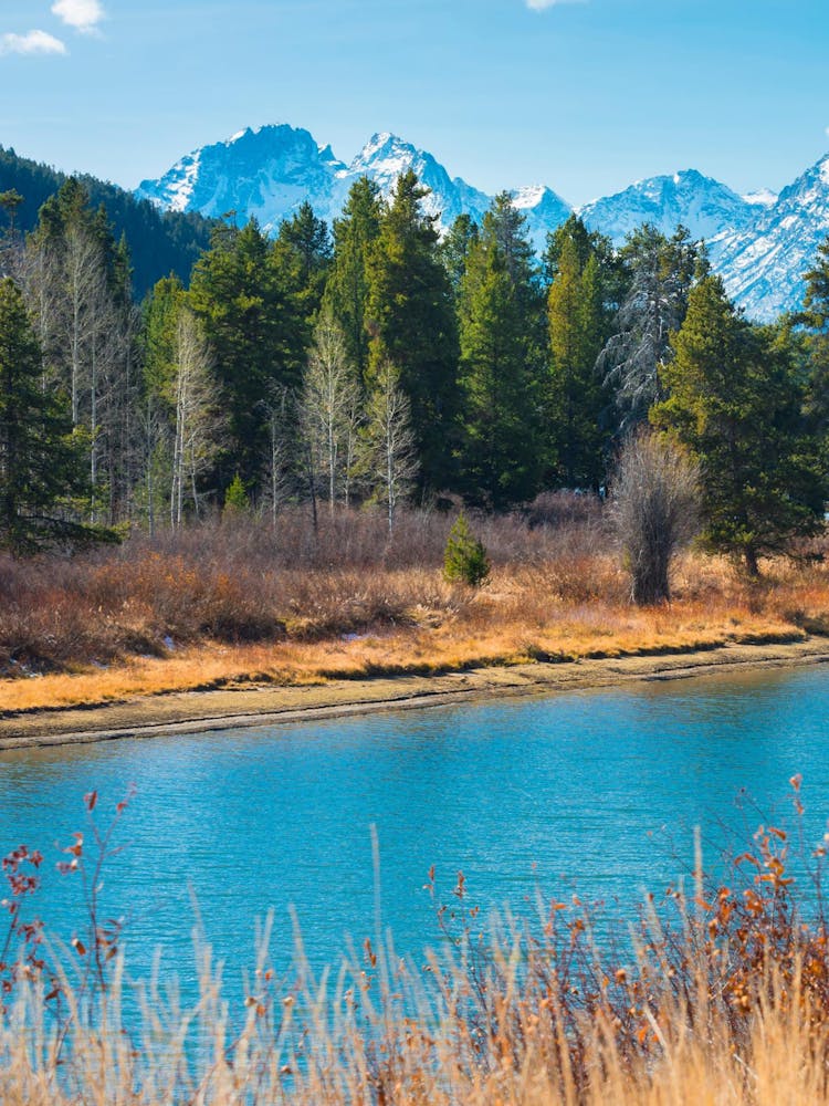 Yosemite National Park 1