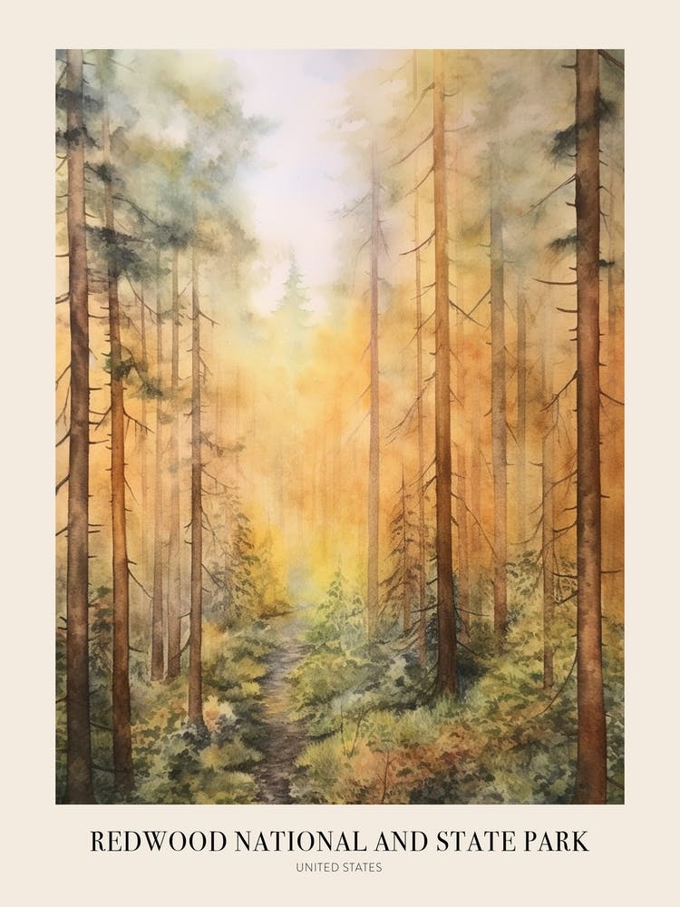 Autumn Forest Landscape Redwood National And State Park Poster