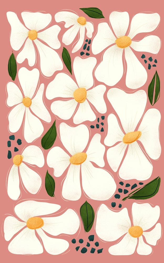 White Daisy Flowers On Pink