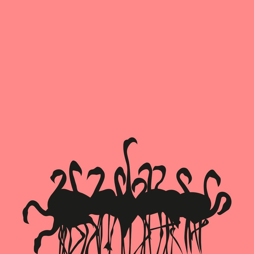 Flamboyance Pink Square