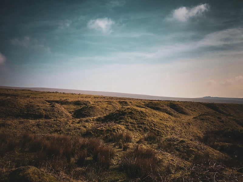 Moody Dartmoor