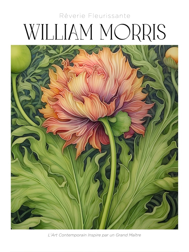 William Morris 7
