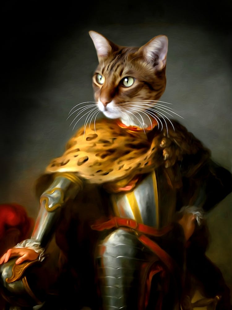 Knight Riza Cat Pet Portraits