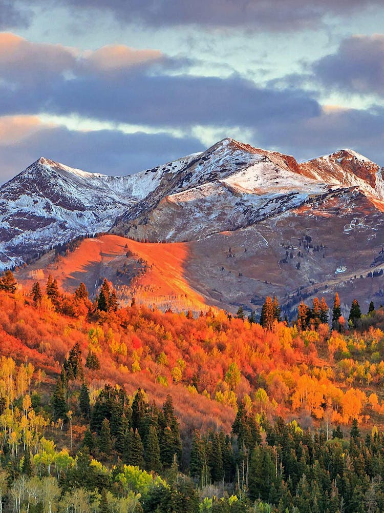 Automne au Colorado