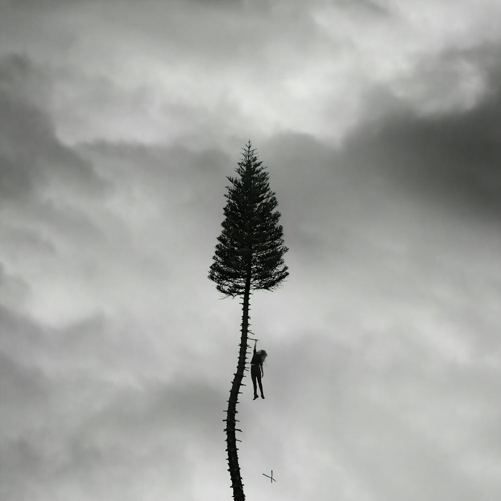 Manchester Orchestra Fanart d'Album 3