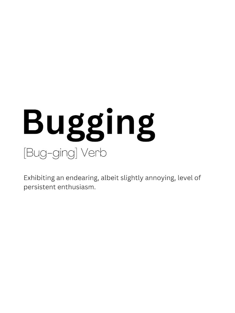 Bugging Definition Meaning