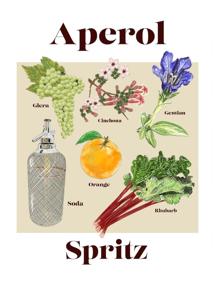 Aperol Spritz Cocktail