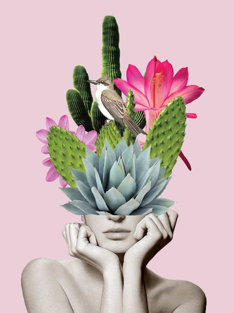 Cactus Lady