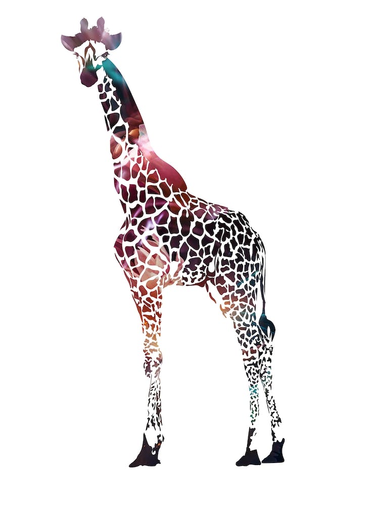 Colourful Giraffe