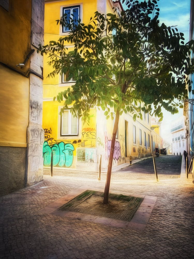 Urban Tree Lisbon