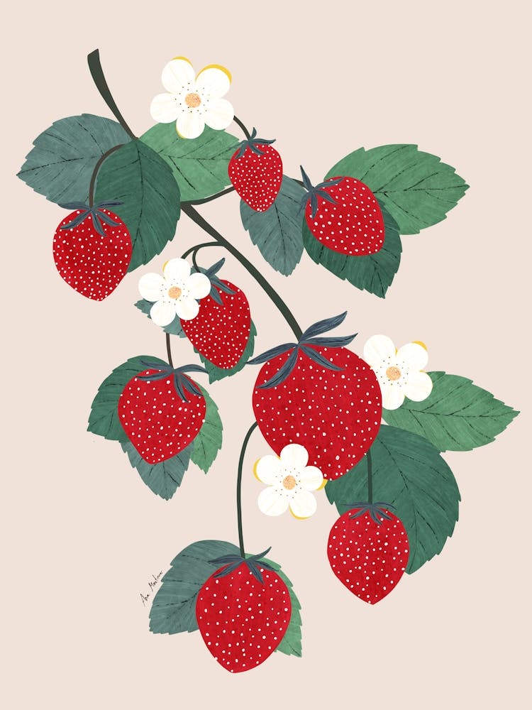 Strawberry Branch