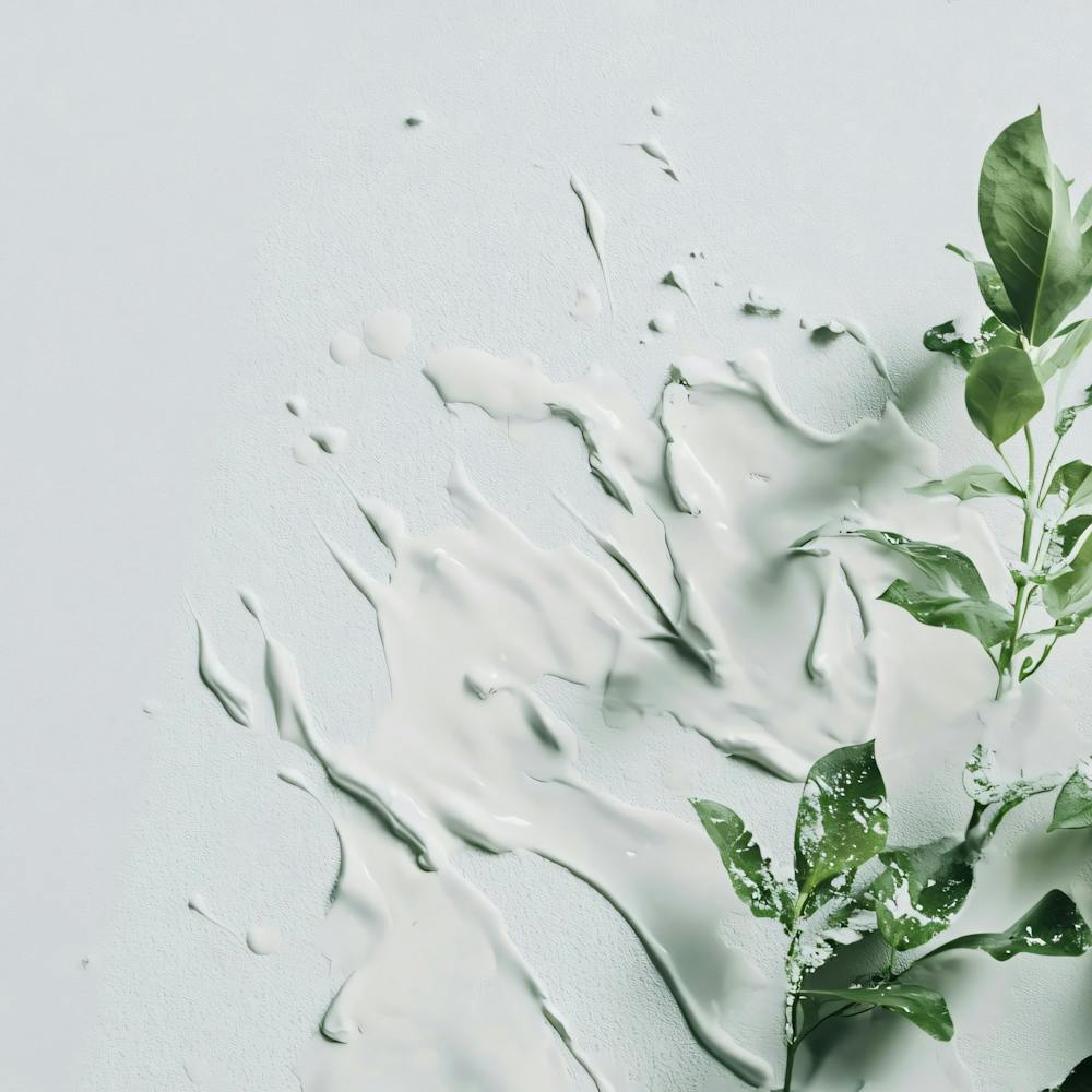 White Background With Green Leaves