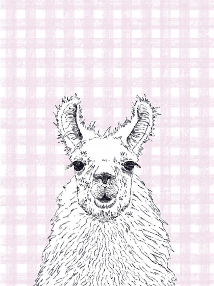 Llama Gingham
