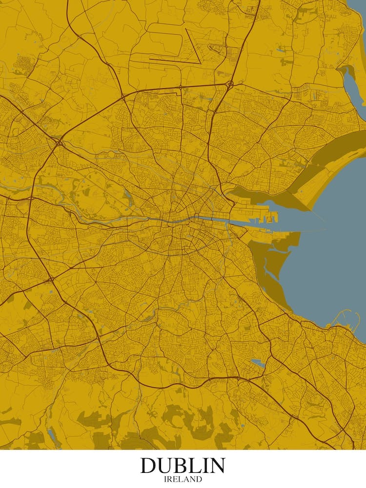 Dublin Yellow Blue Map