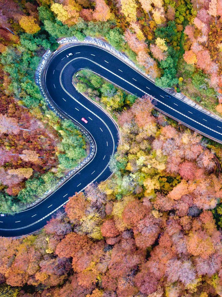 Aerial View Of A Winding Road