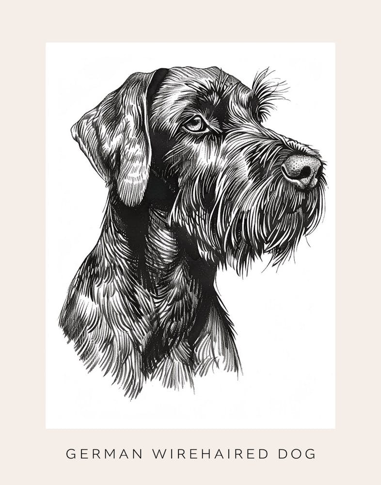 German Wirehaired Dog Line Sketch 3 Poster