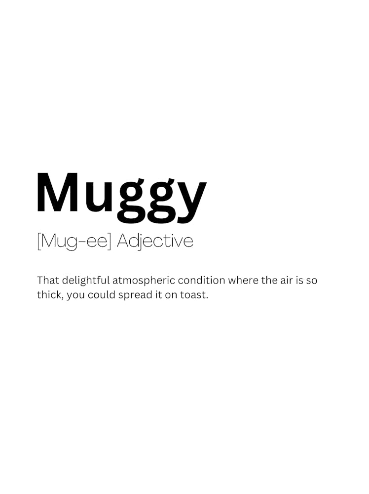 Muggy Definition Meaning 1