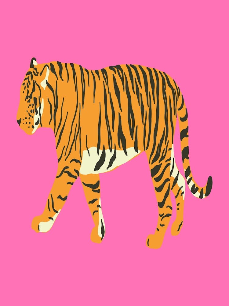 Tiger 7