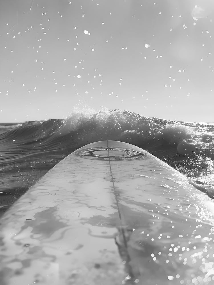 Black And White Surfboard 3