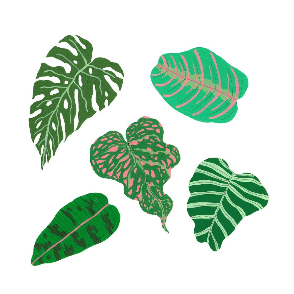 Tropical Greens 