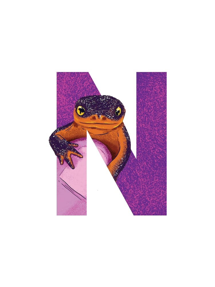N Is For Newt 