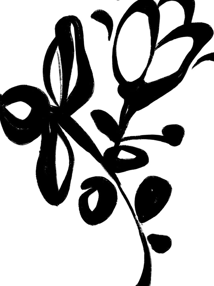 Black And White Flower