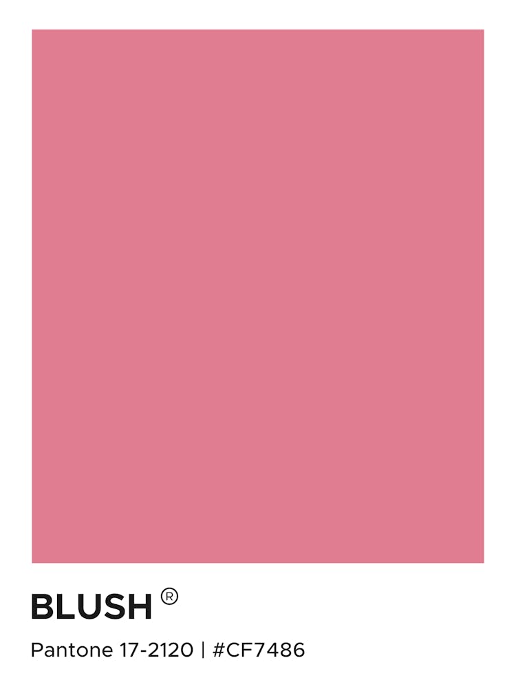 Blush Pantone, pink, modern, blush, cool, cute, girls, dorm, decor, pantone, swatches, minimal, aesthetic, calm, soothing