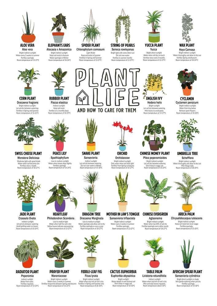 Plant Life