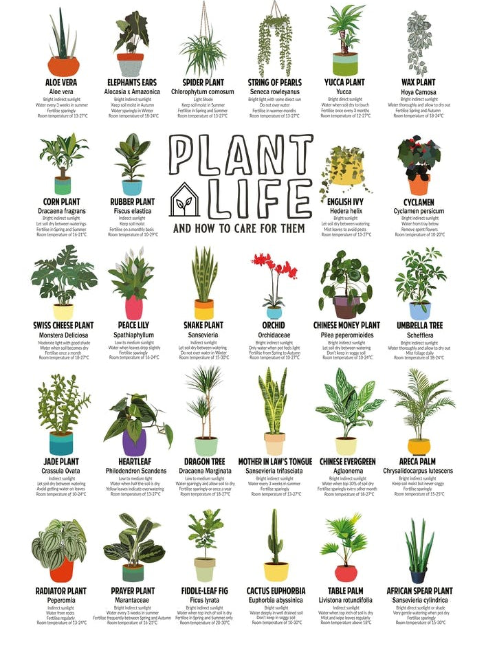 Plant Life