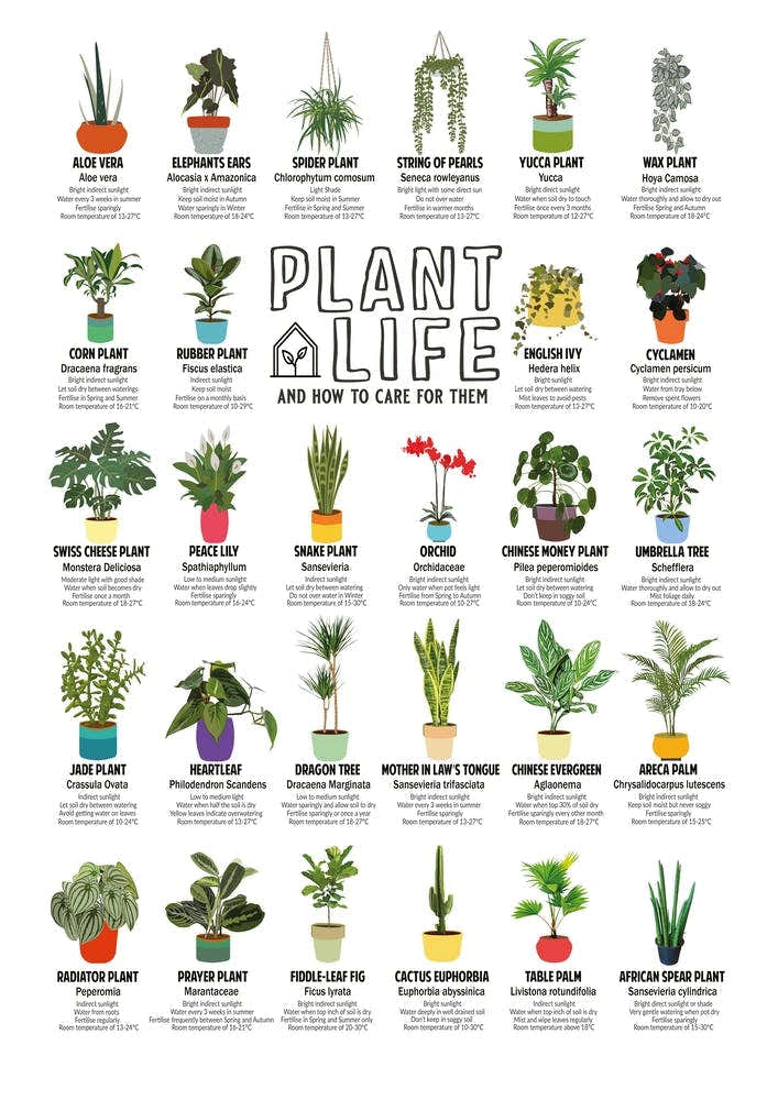 Plant Life