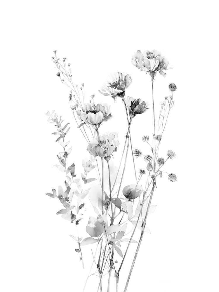 Black And White Flowers 80